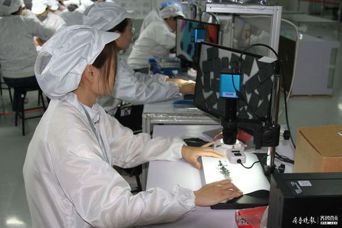 沖刺年度目標(biāo),海富電子年底還將產(chǎn)百萬條傳輸線